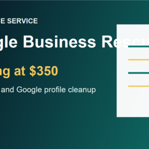 Google Business Rescue